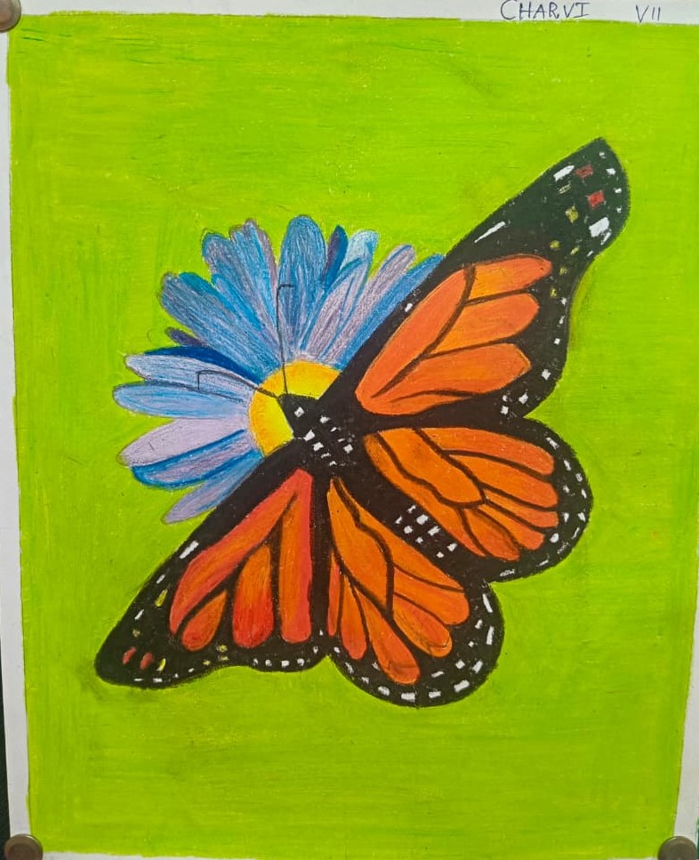 Craft project display